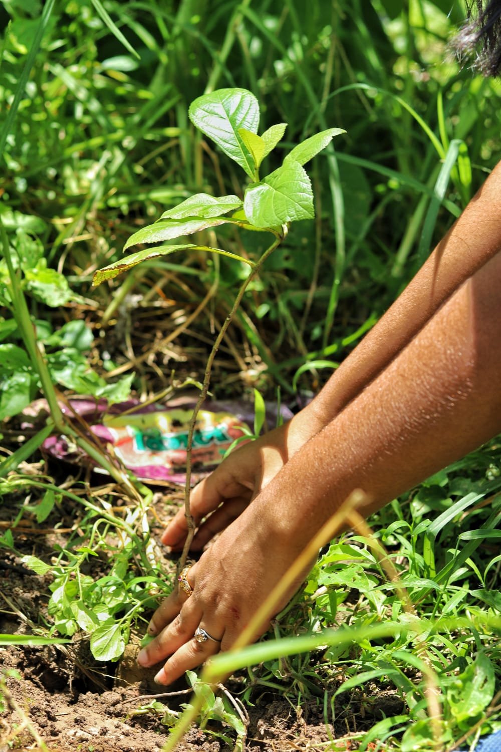 Children education 26